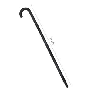 Plastic scepter 